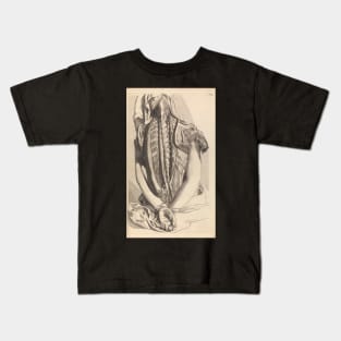 Flayed Back, Anatomia Humani Corporis, Govard Bidloo, 1685 Kids T-Shirt